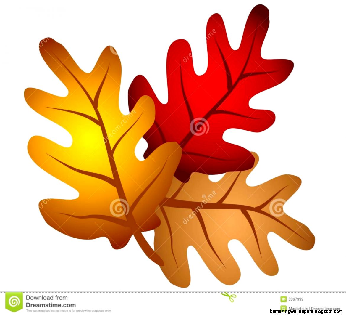 Autumn Oak Tree Leaves Clipart Royalty Free Stock Images Image Autumn Oak Tree Leaves Clipart Royalty Free Stock Images Image