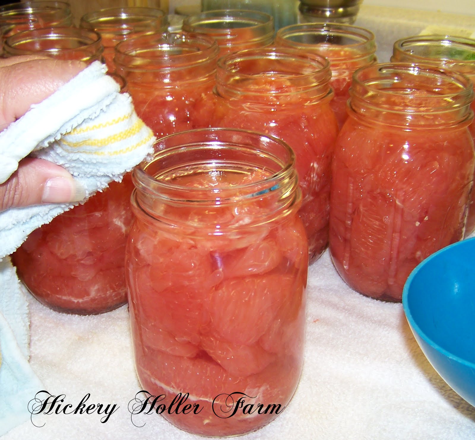 Hickery Holler Farm Canning Grapefruit