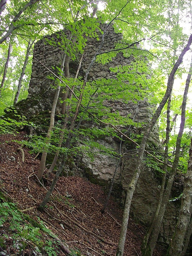 Der Wanderfreund Almwanderung Im Salzkammergut Bei Altaussee In