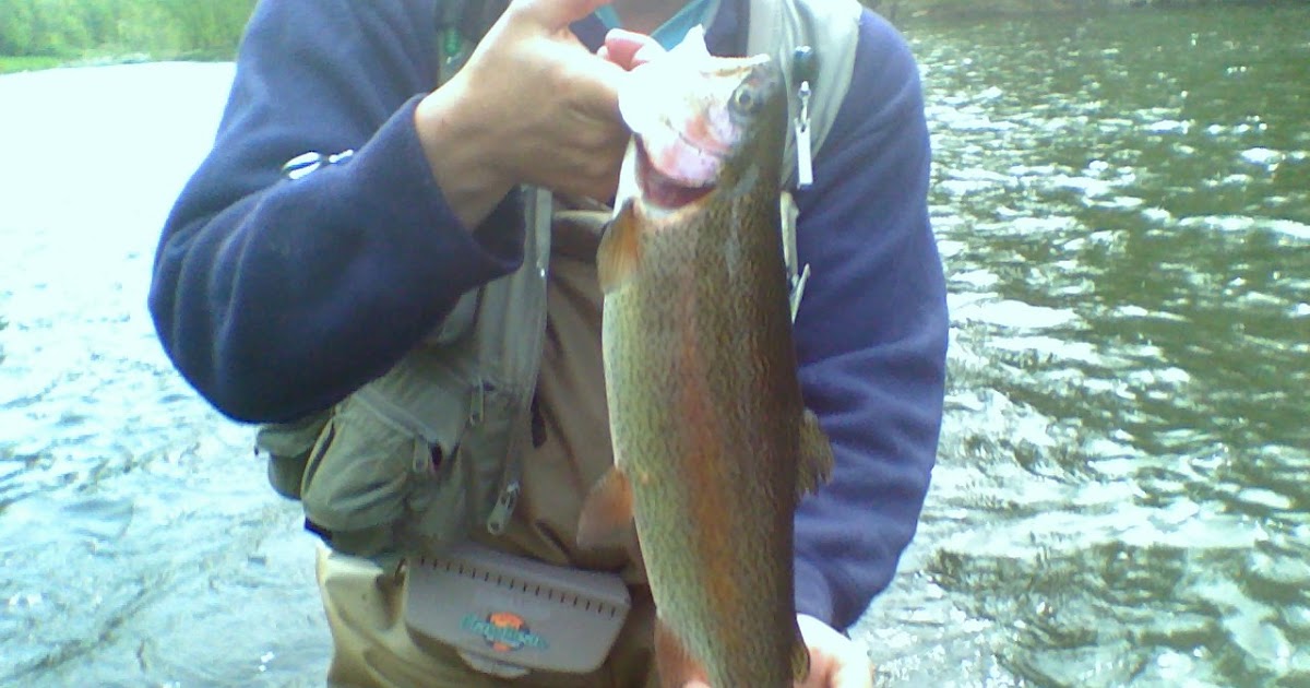 Fins and Folly New Jersey Trout Fishing at the Ramapo River
