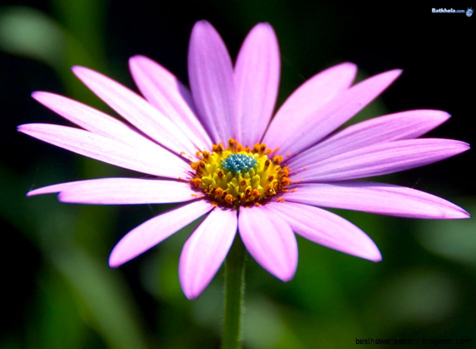 Mother Nature Rocks Mother Nature Rocks