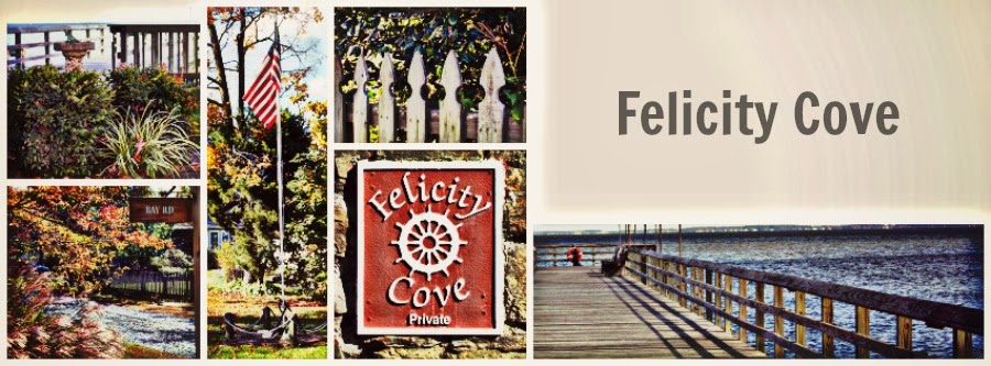Felicity Cove