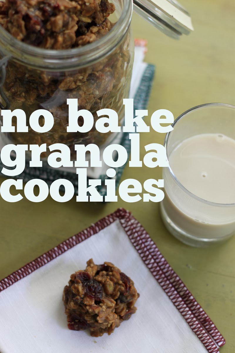 Stir & Scribble No Bake Granola Cookies