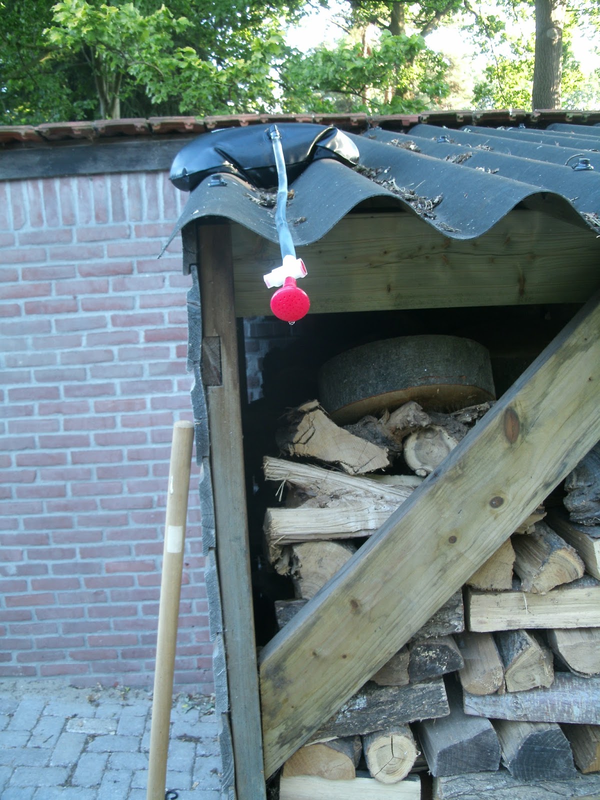 Anderson cottage: kippen, en heerlijk buiten douchen !!!
