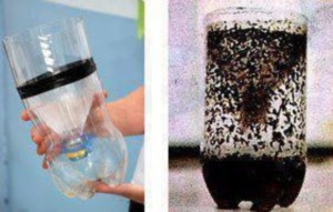 Una trappola efficace per mosche e moscerini: costruiscila con una semplice  bottiglia di plastica 