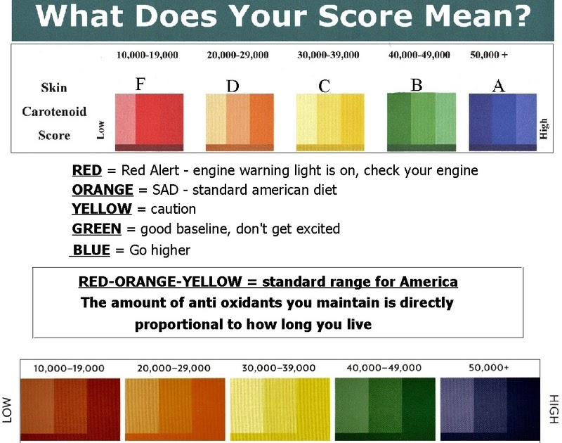 Youth Rules What Is An Antioxidant Scanner?