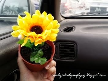 Sunflower Flower Pot Cake