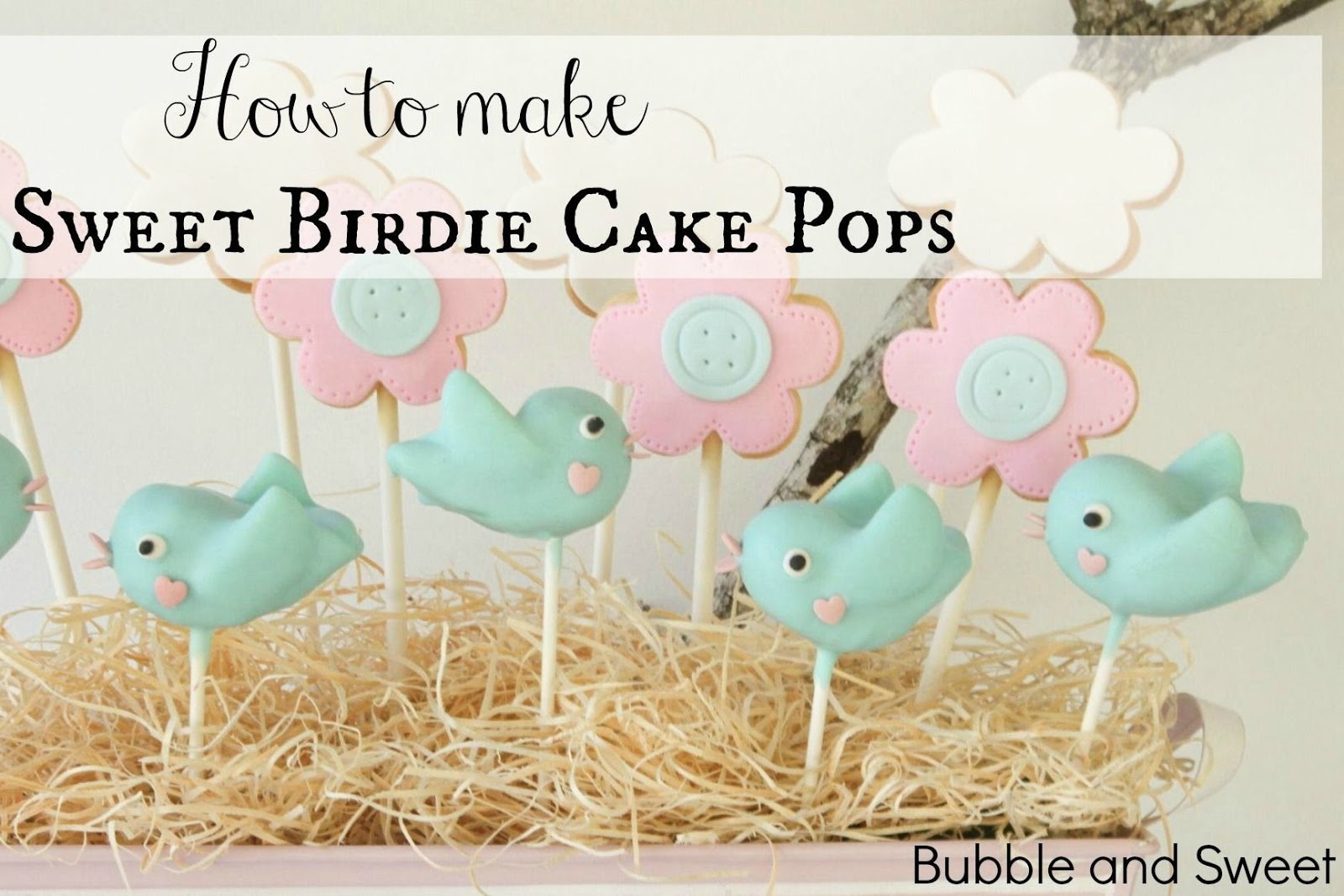 tweet tweet super cute bird cake pops free video tutorial