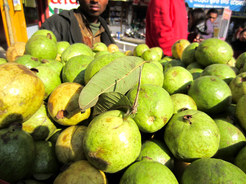 Lists of most common fruits of Nepal (NepaliEnglish)