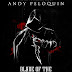 Blade of the Destroyer by Andy Peloquin Review