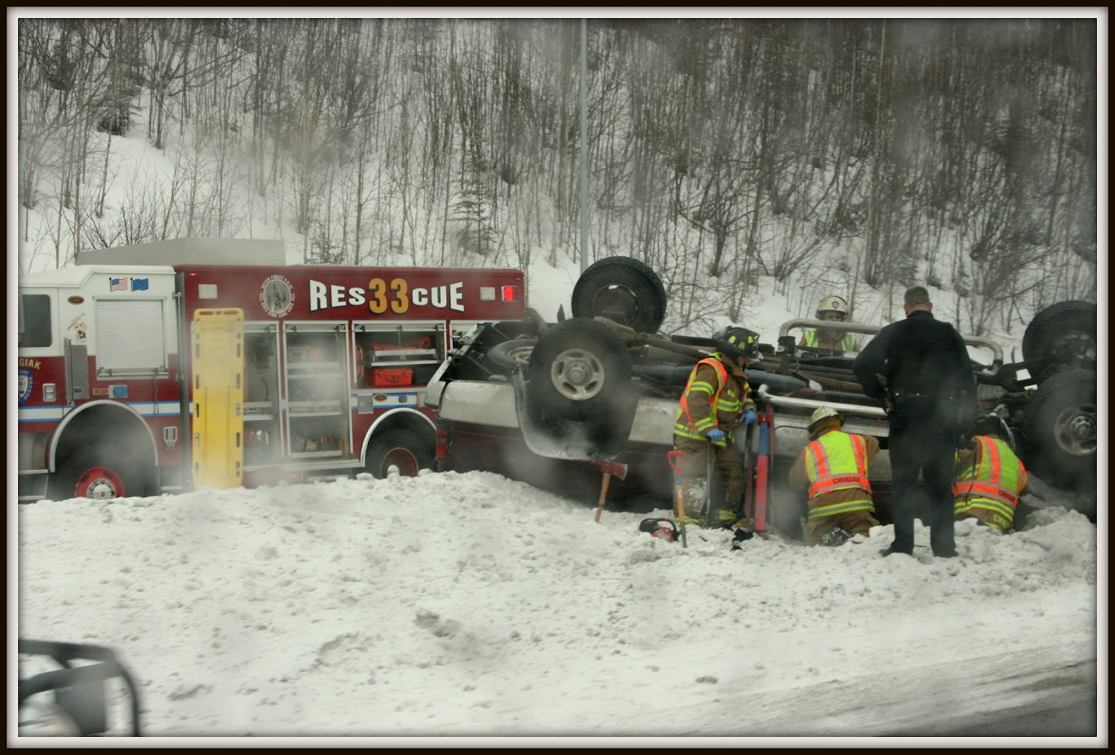 Car Accident Moose Car Accidents Alaska