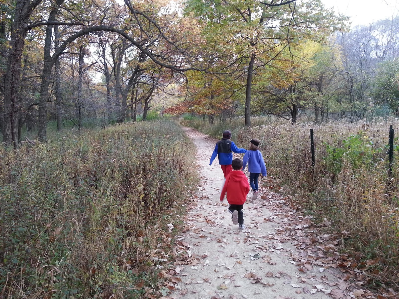 The Chicago Real Estate Local Peterson Park and the Nature Center at