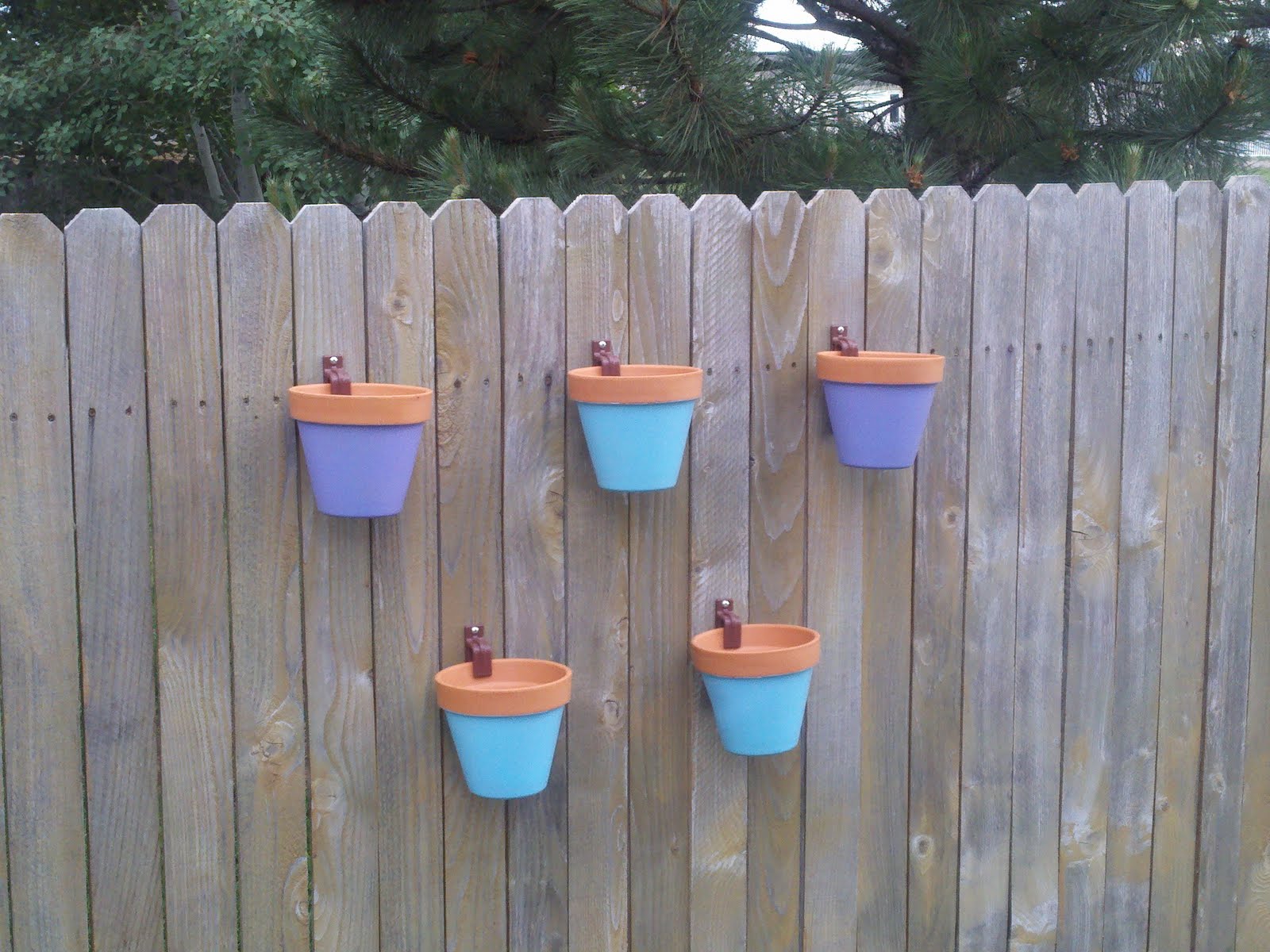 My Backyard Fence Is Blooming Inspiration For Moms