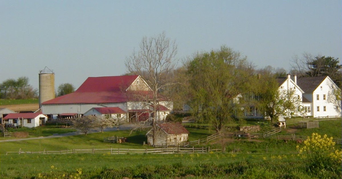 Selma Horn farm