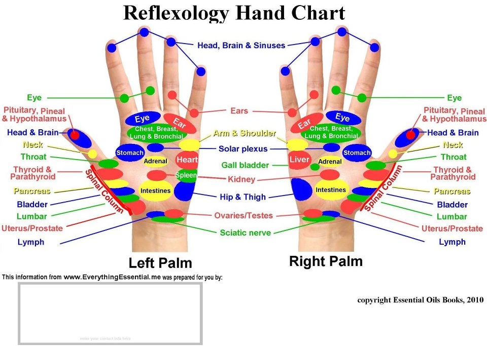 Reflexology Hand Chart Neck