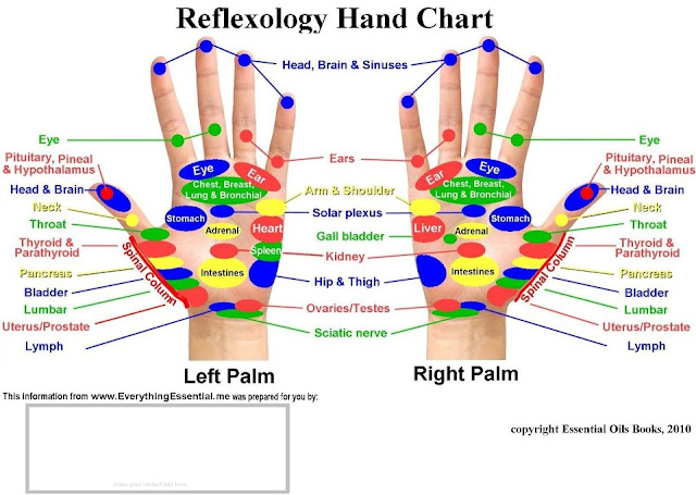 pressure point diagram acupressure pressure point diagram acupressure