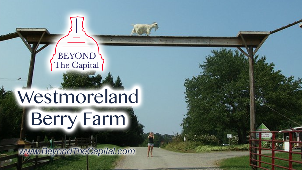 Beyond The Capital August 2014