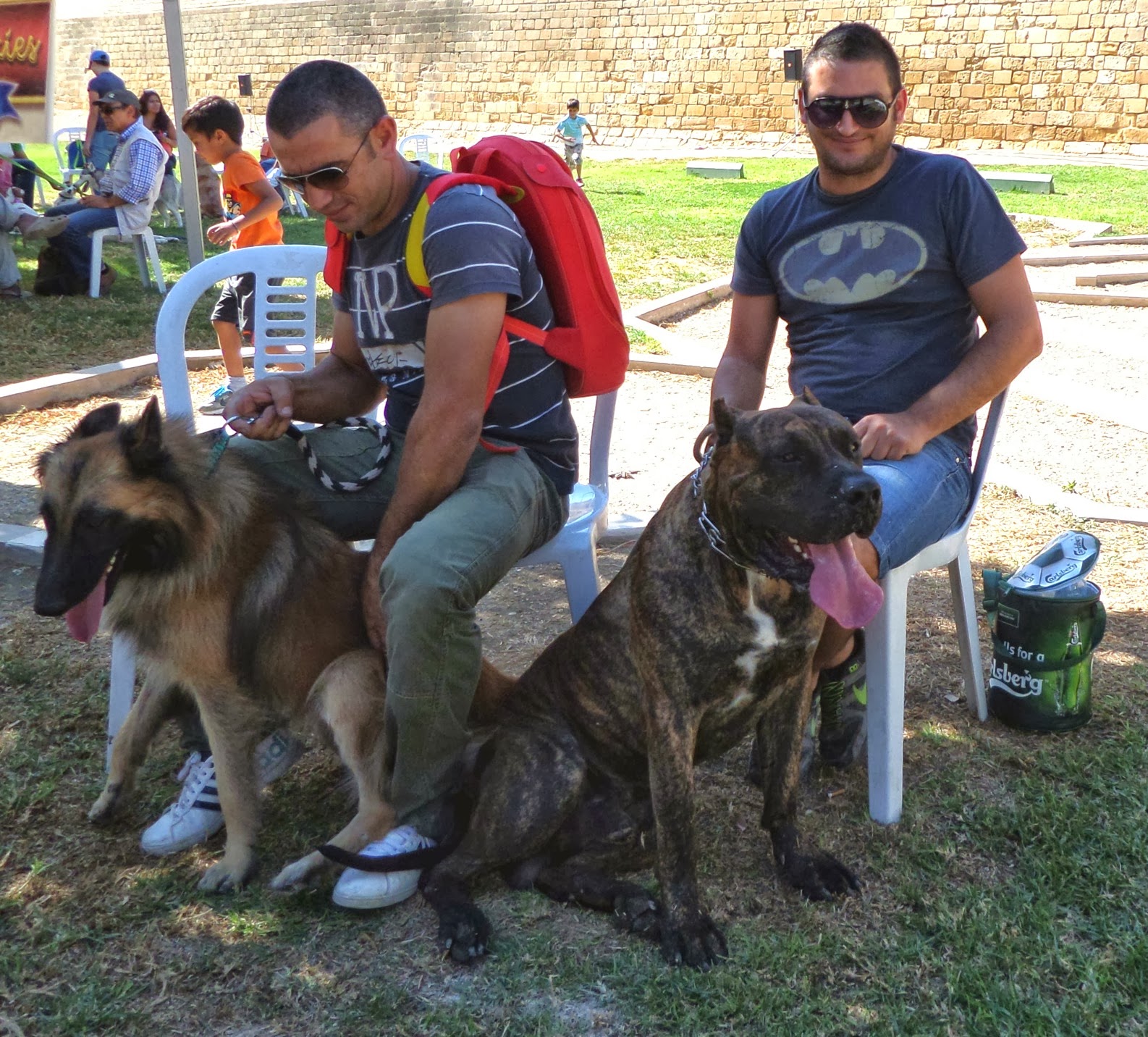 Travel Cyprus With Your Dog Pet Festivals and Dog Shows... with your dog