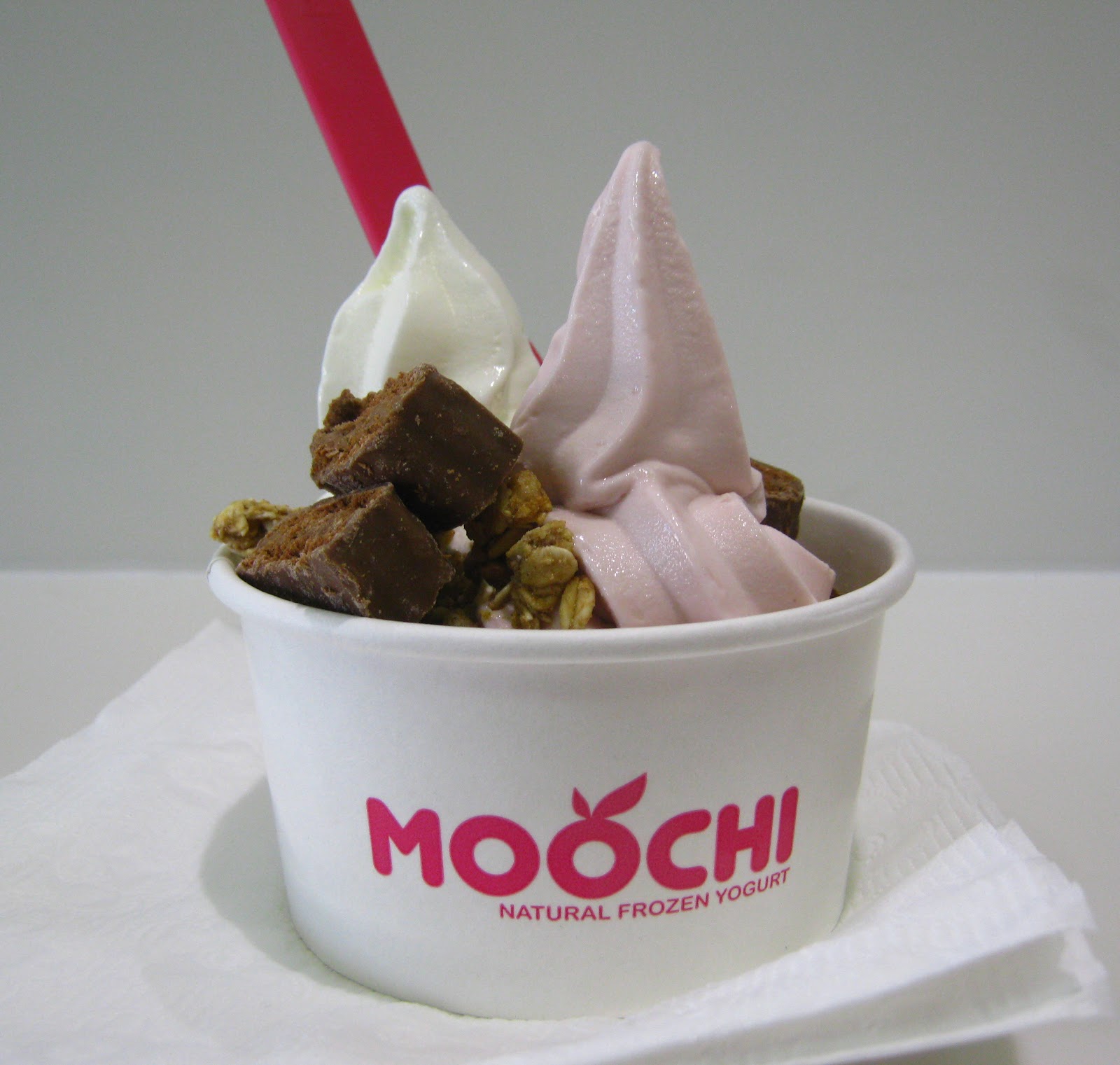 foodfortina Moochi Frozen Yoghurt Bankstown Day 3 of Tina's 12