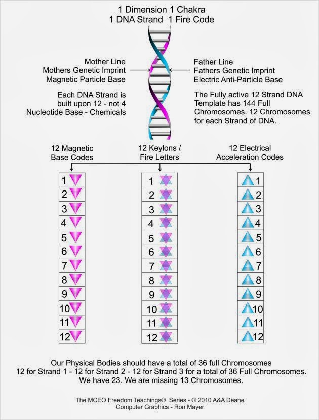 What Is 12 Strand Dna Activation