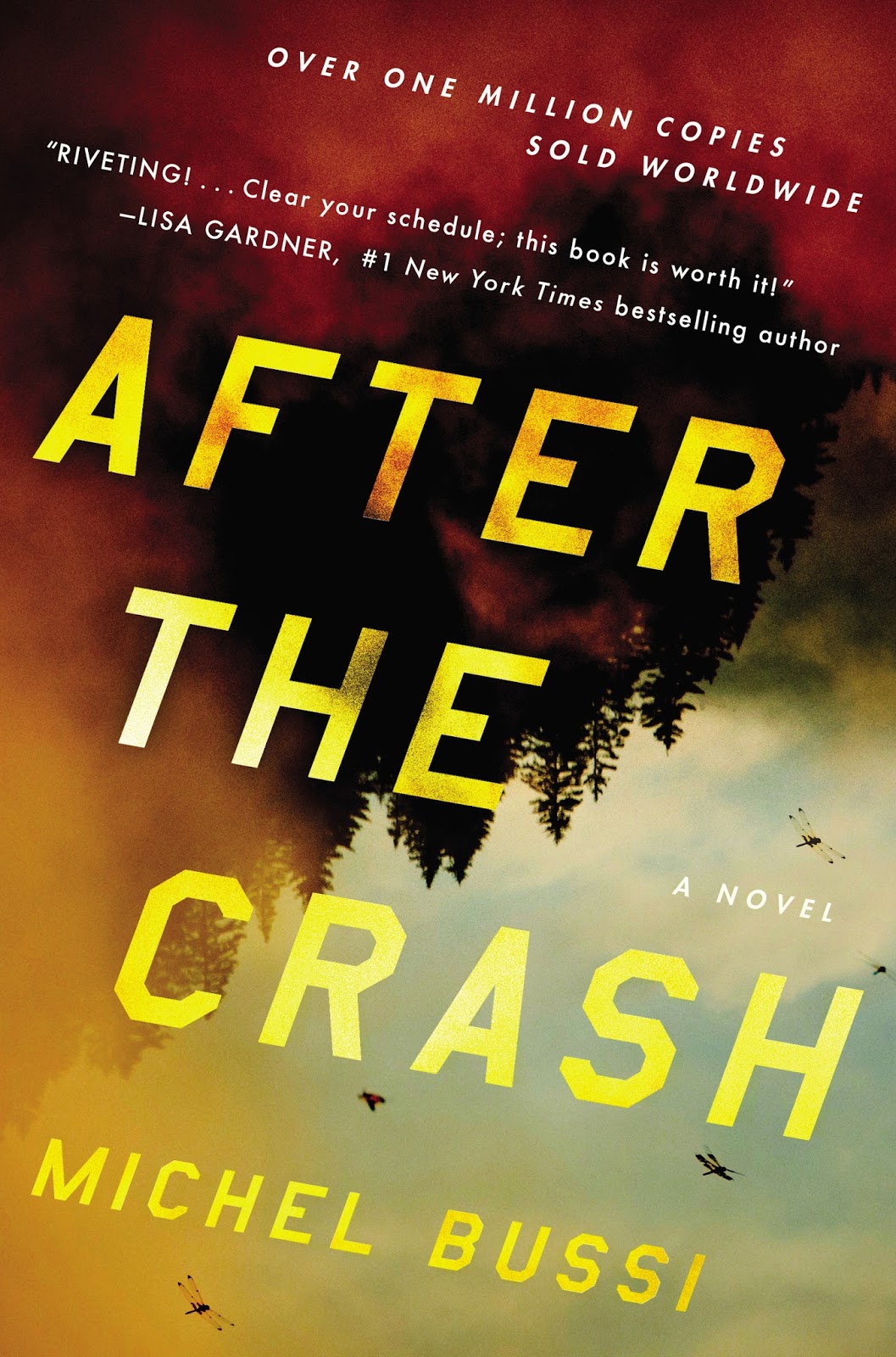 After the Crash Book Review