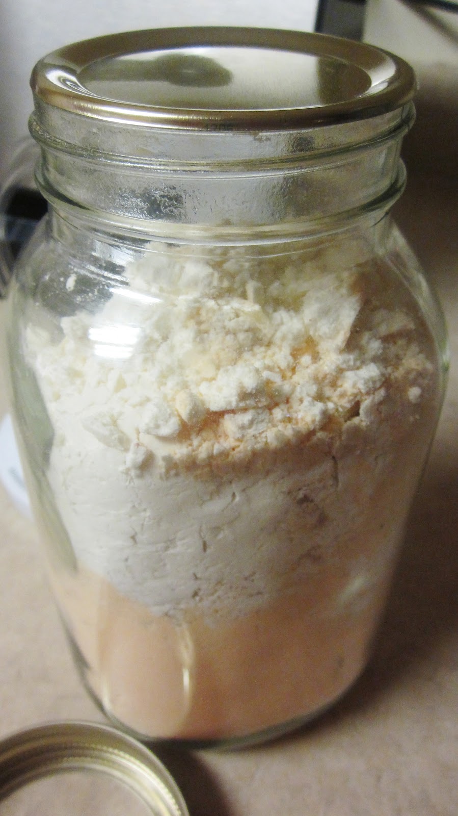 Chef Tess Bakeresse Food Saver Vacuum Packing Meals in a Jar Tutorial