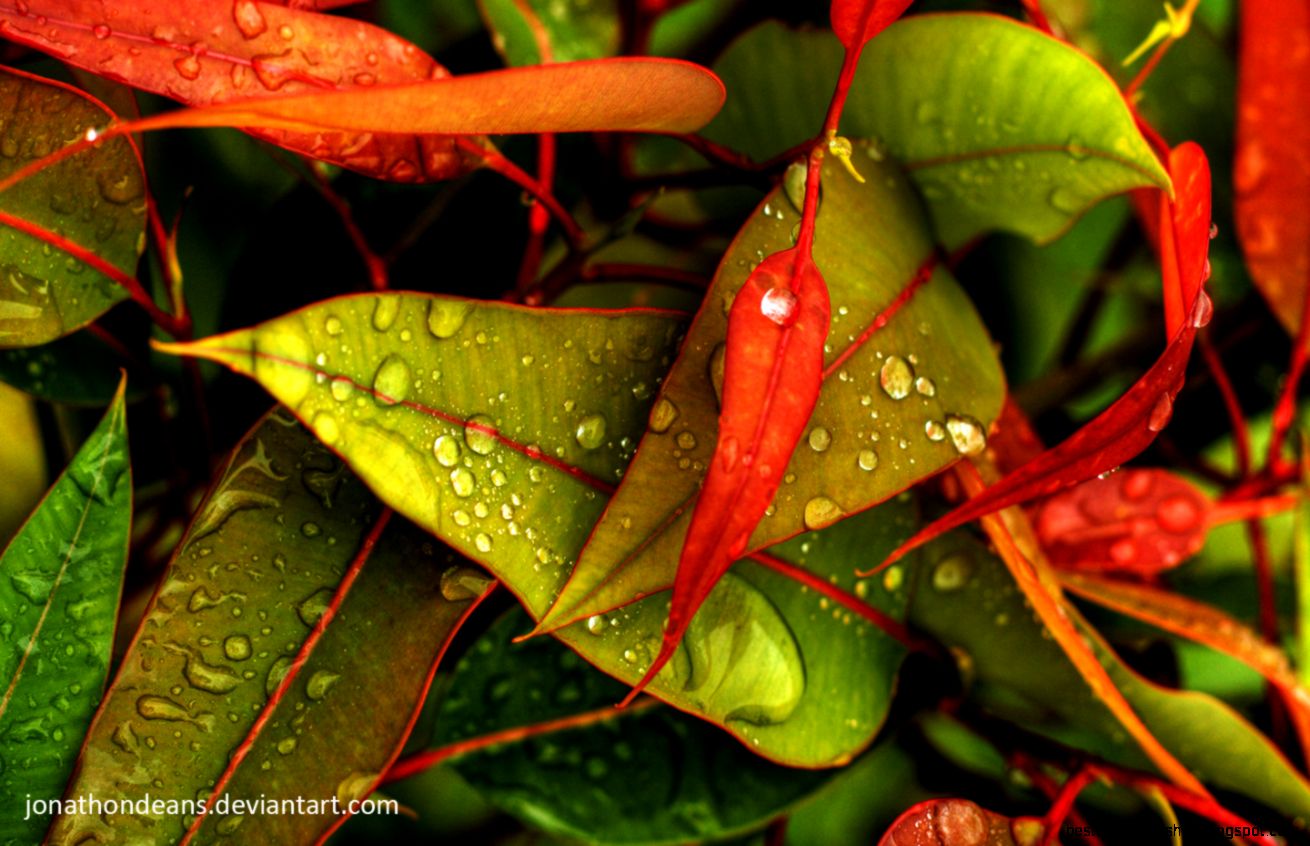 Download Nature Photography Wallpaper 1440x900 Wallpoper 373840 Download Nature Photography Wallpaper 1440x900 Wallpoper 373840