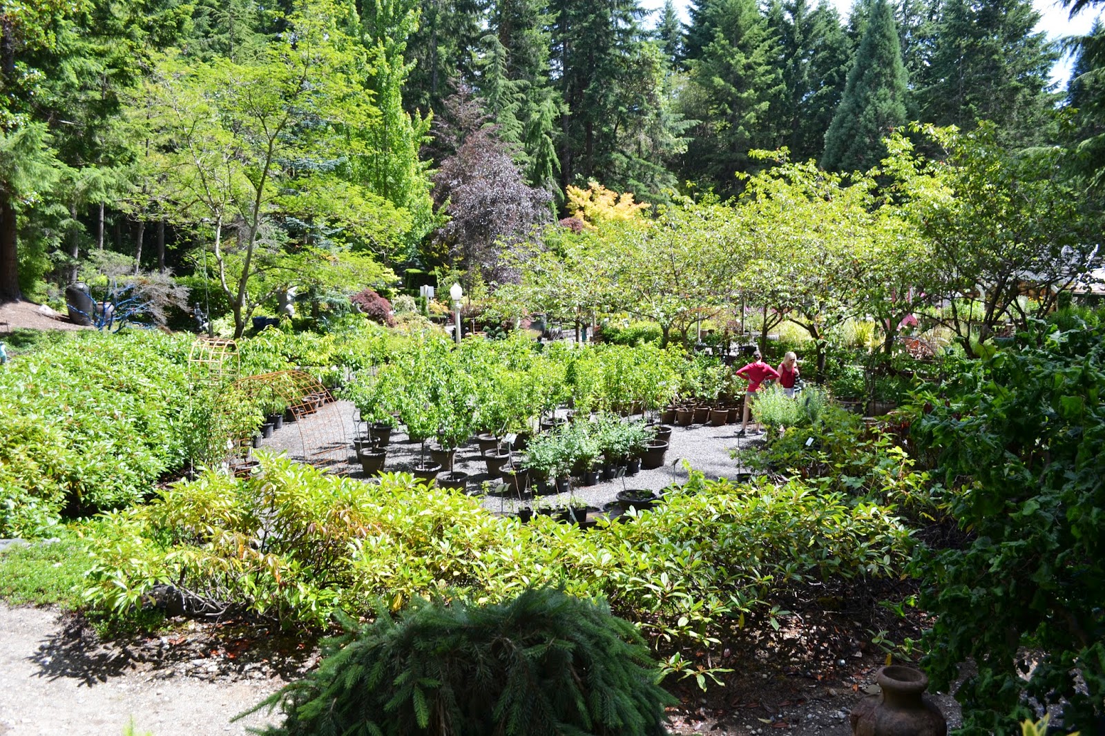 The Outlaw Gardener Visiting Rosedale Gardens in Gig Harbor, WA