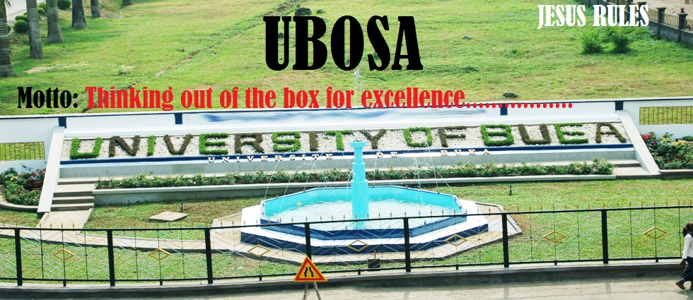 University of Buea ICT Studies Association(UBICTSA aka UBOSA)