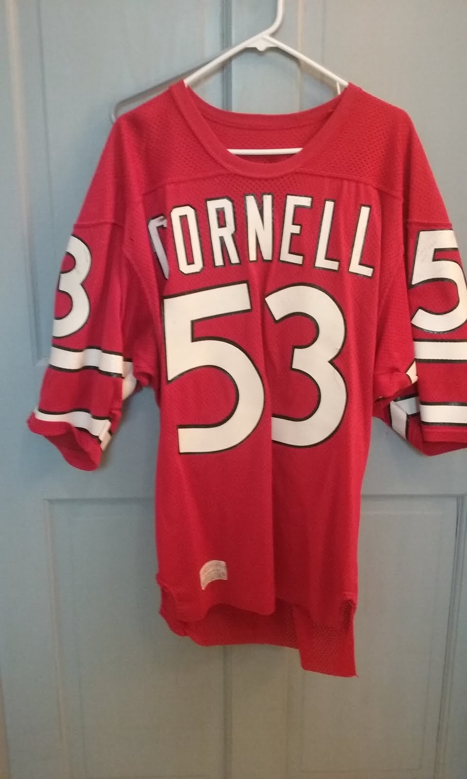Gridiron Garb Inside the Jersey Cornell Big Red (197779)