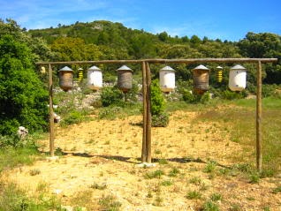 POLINIZADORAS DE ABEJAS