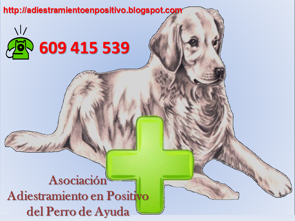 Asociacion Adiestramiento en Positivo del Perro de Ayuda