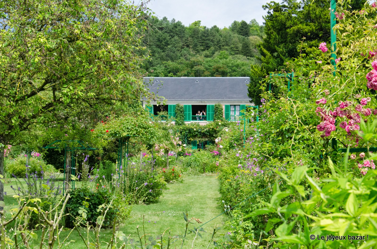Giverny - Monet -  jardin 