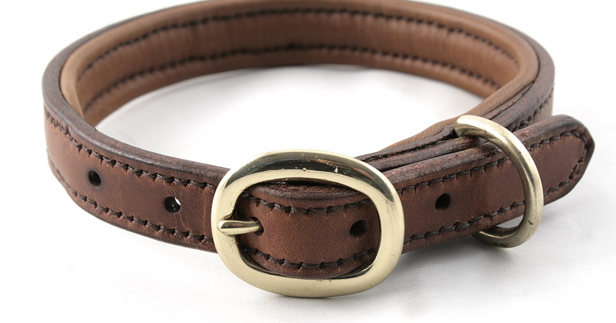 Wide Dog Collars Uk Wide Dog Collars Uk