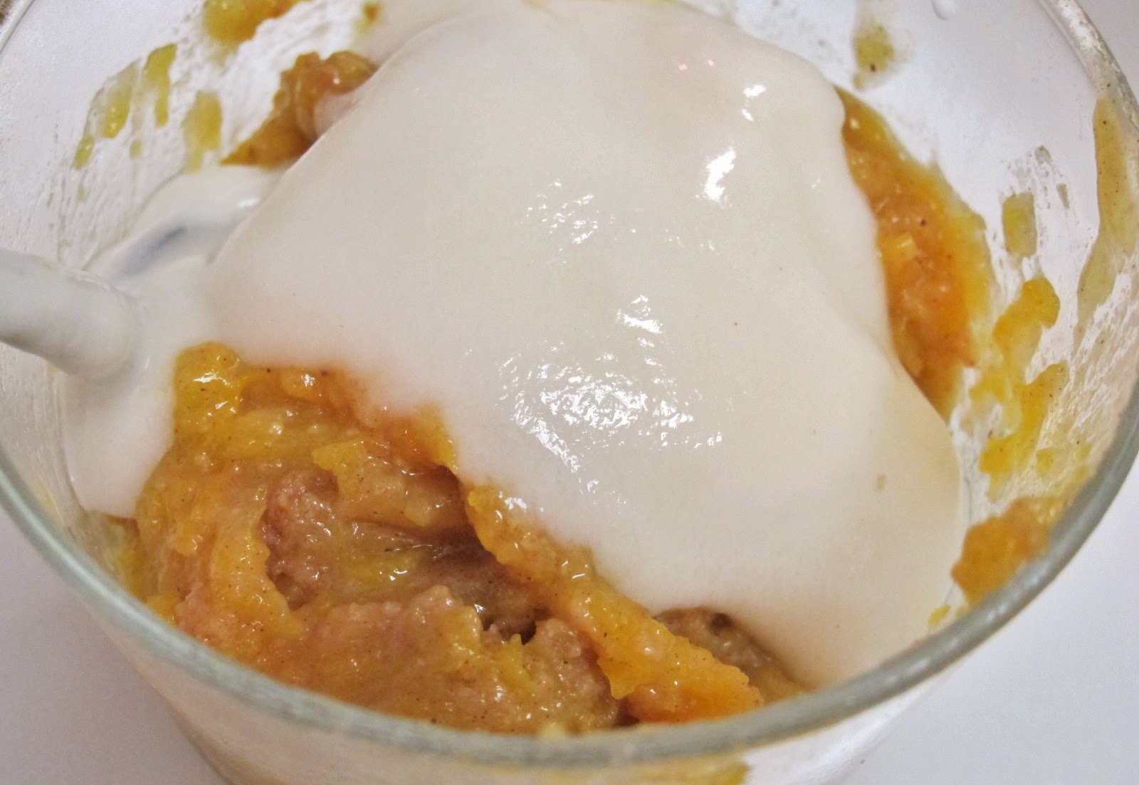 The Vegan Chronicle Butternut Squash Pudding