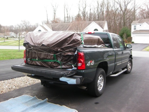 Seeking Sparkle Couch Cargo