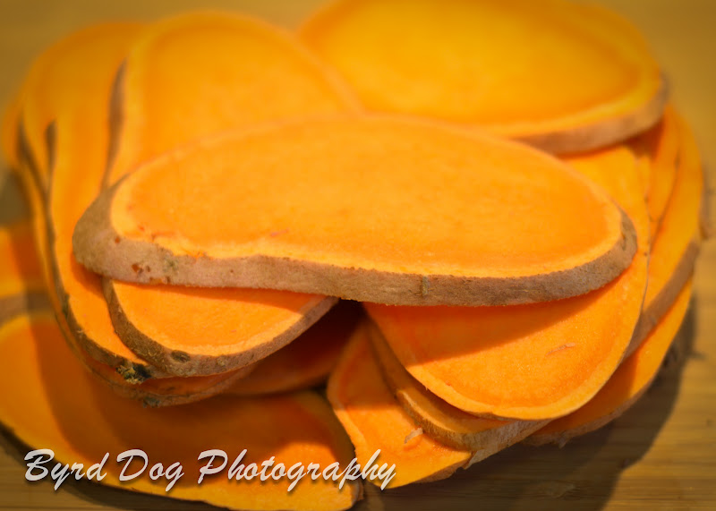 Adventures of a GSP Hunting Dog Sweet Potato Dog Treats