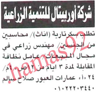 وظائف خالية من جريدة الاهرام المصرية اليوم الثلاثاء 5/2/2013 %D8%A7%D9%84%D8%A7%D9%87%D8%B1%D8%A7%D9%85+4