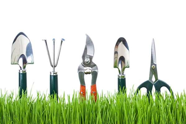 Teacher suspended after showing students garden tools