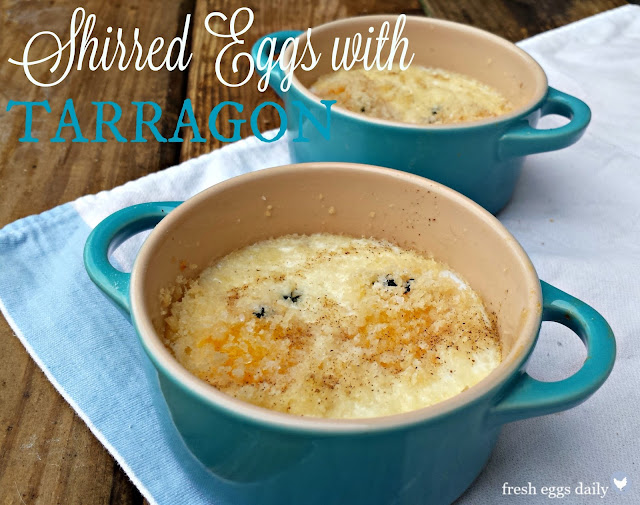 Shirred Eggs with Fresh Tarragon Fresh Eggs Daily® Bloglovin’