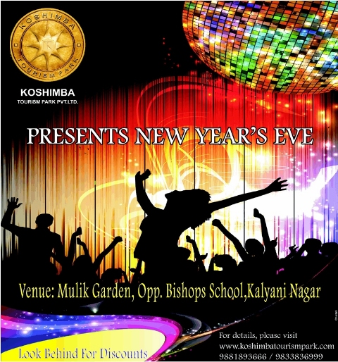 New year parties in india December 2012