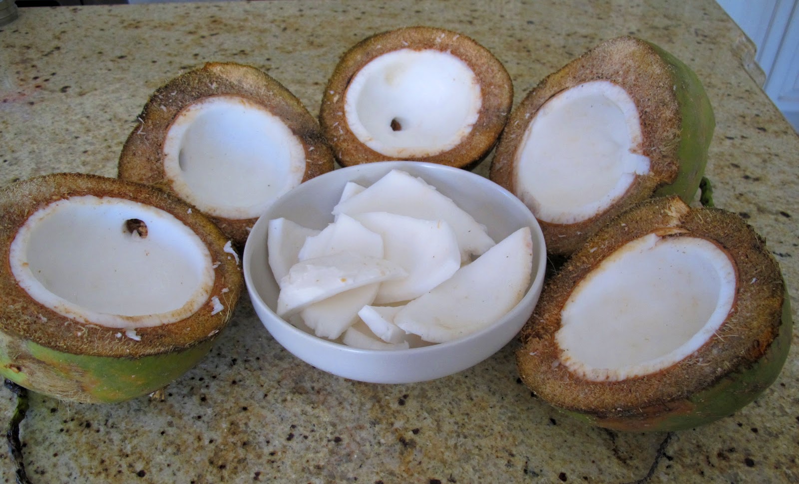 Nutritious You Blog Coconut Meat in Florida