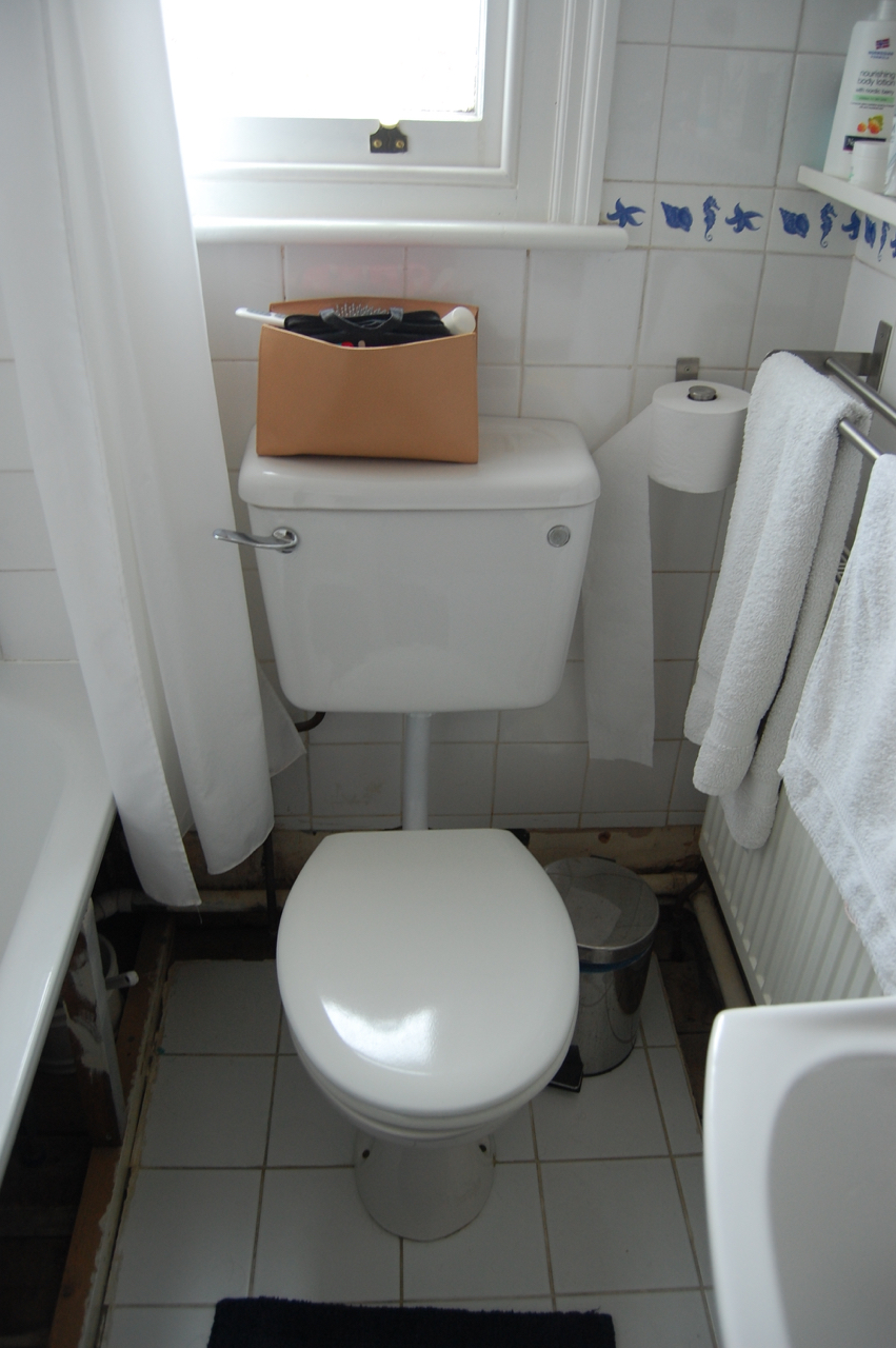 World's smallest bathroom now bigger, better and with a bidet!