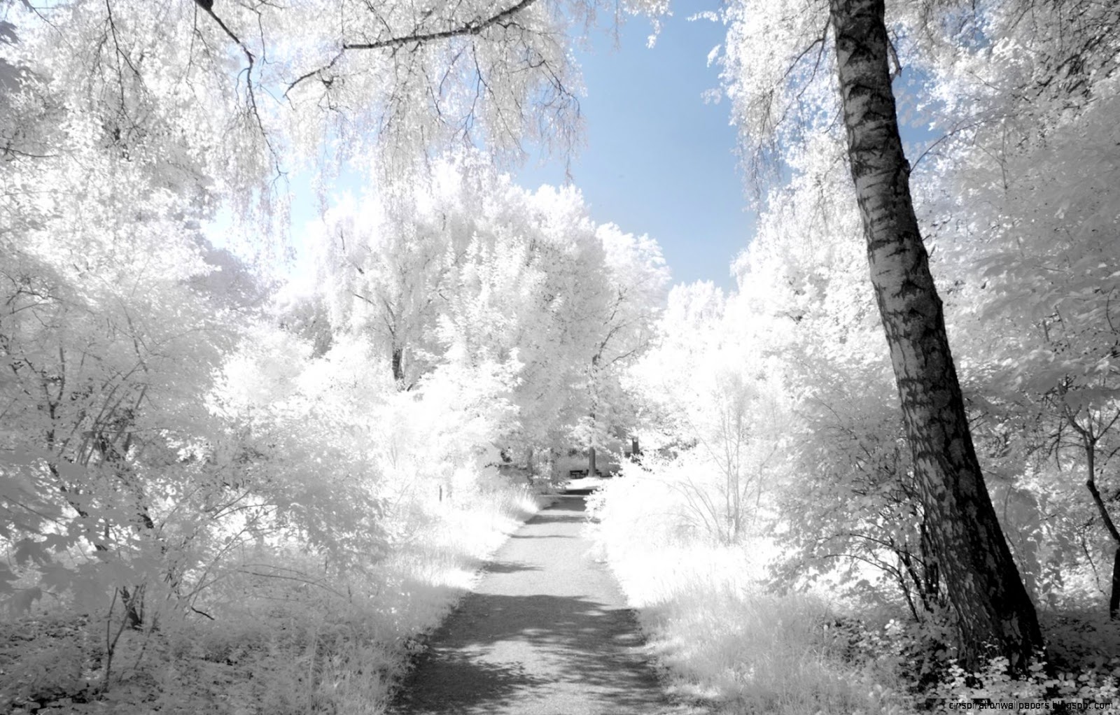 Beautiful Winter Landscapes Beautiful Winter Landscapes