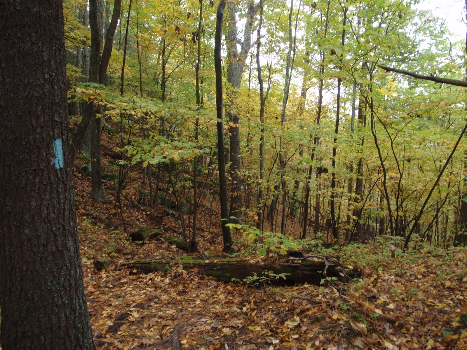 Outdoorsavages The Pine Knob Loop Trail