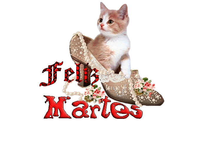 Resultado de imagen de buen martes gif