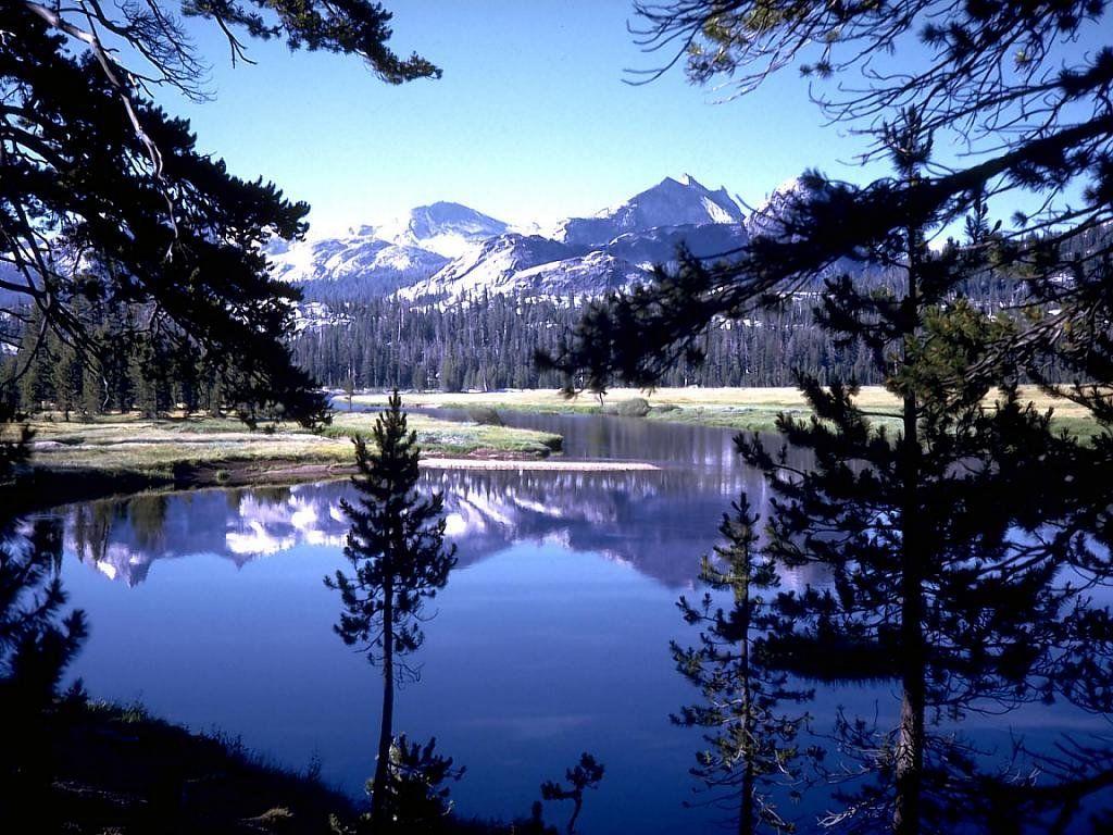 beautiful nature album 8 animal photo nature photo albums
