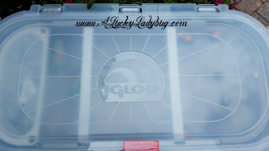 A Lucky Ladybug Party Hard w/ Igloo® Party Bar™ Review
