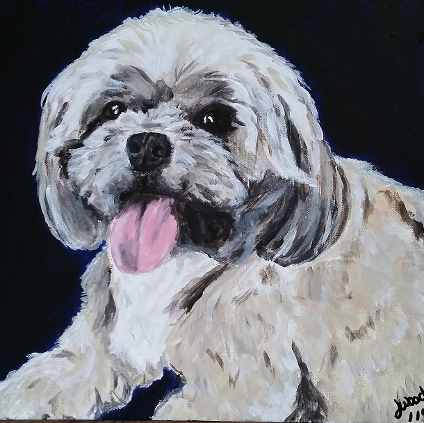 Paws in Paint Pet Portraits Gallery