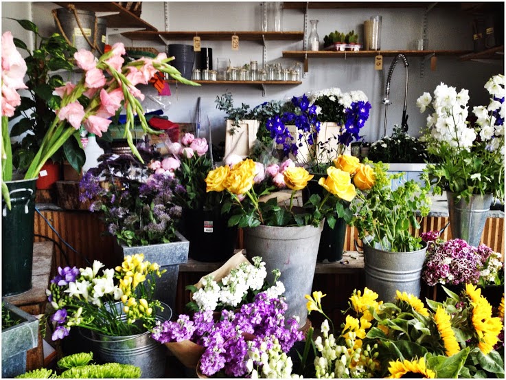 Green Room Cafe Stoke Newington London The Cafe Cat